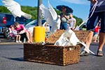 basket of white doves